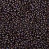 TOHO 8/0 Round Beads SEED-XTR08-0406F-2