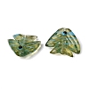 Handmade Lampwork Beads LAMP-H073-01A-3