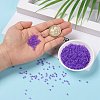8/0 Glass Seed Beads SEED-A014-3mm-135B-6
