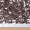 MIYUKI Round Rocailles Beads SEED-JP0008-RR0457B-4