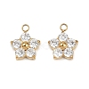 304 Stainless Steel Micro Pave Cubic Zirconia Charms STAS-B088-01G-02-1