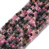 Natural Tourmaline Beads Strands G-P500-01A-01-1