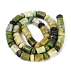 Natural Serpentine Beads Strands G-Q616-09H-3