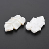 Natural Freshwater Shell Beads SHEL-S276-156-4