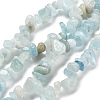 Natural Aquamarine Chip Beads Strands X-G-L154-19-2