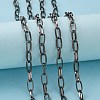 Iron Paperclip Chains X-CH-R025-13x6mm-B-2
