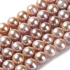 Natural Cultured Freshwater Pearl Beads Strands PEAR-E018-21-1
