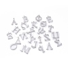 Non-Tarnish 304 Stainless Steel Charms STAS-K215-P-1
