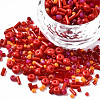 FGB Glass Seed Beads SEED-S056-006-1