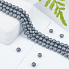 4 Strands Frosted Non-magnetic Synthetic Hematite Round Beads Strands G-OC0001-98-5