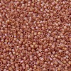 MIYUKI Delica Beads SEED-MY11-DB0866-3