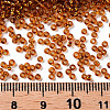 11/0 Silver Lined Grade A Transparent Glass Seed Beads X-SEED-Q007-F54-3