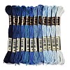 12 Skeins 12 Colors 6-Ply Polyester Embroidery Floss OCOR-M009-01B-05-1