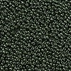 11/0 FGB Grade A Baking Paint Glass Seed Beads X-SEED-N001-A-1040-2