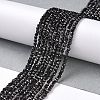 Transparent Glass Beads Strands GLAA-H021-04-22-3