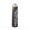 Point Tower Natural Labradorite Home Display Decoration PW-WG04107-17-1