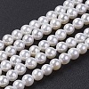 Shell Pearl Bead Strands BSHE-P023-5mm-1