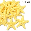 10Pcs Resin Decoden Cabochons CRES-YW0001-42C-1