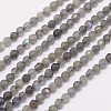 Faceted Round Natural Labradorite Bead Strands X-G-I156-03-4mm-1