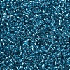 12/0 Glass Seed Beads SEED-A005-2mm-23B-2