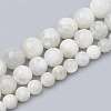Natural Rainbow Moonstone Beads Strands G-S333-8mm-002-2