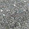 AB Color Plated Glass Seed Beads SEED-L011-06B-14-3