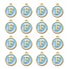 Golden Plated Alloy Enamel Charms ENAM-S118-04F-2