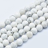 Natural Howlite Beads Strands G-P353-01-8mm-1
