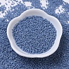 MIYUKI Delica Beads X-SEED-J020-DB0266-2