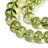 Crackle Transparent Glass Beads Strands GLAA-N074-02B-01-4