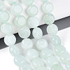 Dyed Natural White Jade Beads Strands G-T143-16C-1