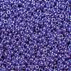 MIYUKI Round Rocailles Beads X-SEED-G009-RR0432-4