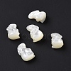 Natural White Shell Beads BSHE-H016-02-2