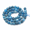 Natural Apatite Beads Strands G-S333-6mm-012-3