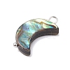 Natural Abalone Shell/Paua Shell Pendants PALLOY-JF02701-02-3