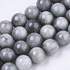 Natural Hawk's Eye Beads Strands G-R462-047B-1