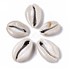 Natural Cowrie Shell Beads SSHEL-N034-33-2