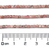 Natural Argentina Rhodonite Beads Strands LS-G-Z057-A01-01-4