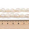 Natural Cultured Freshwater Pearl Beads Strands PEAR-P064-20J-01A-5