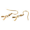 Ion Plating(IP) 304 Stainless Steel Hooks STAS-N092-163G-3
