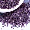 MIYUKI Delica Beads X-SEED-J020-DB1014-1