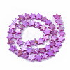 Freshwater Shell Beads Strands SHEL-T014-009E-2