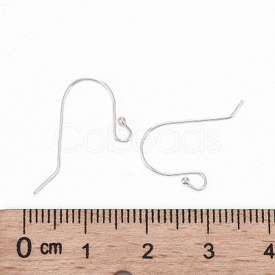 925 Sterling Silver Earring Hooks STER-G011-13-1