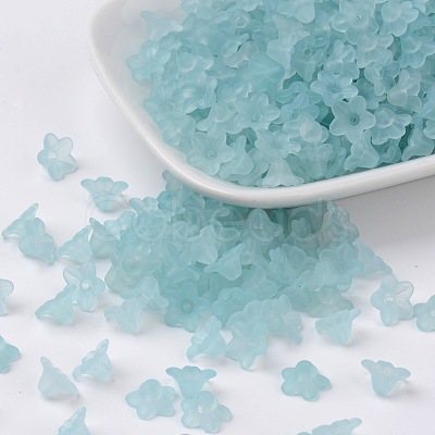 Transparent Acrylic Beads LS-X-PL554-11-1