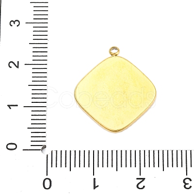 304 Stainless Steel Pendants STAS-V004-13G-01-1