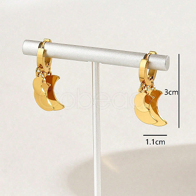 304 Stainless Steel Hoop Dangle Earrings for Women PJ4244-1