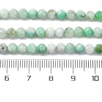 Natural Chrysoprase Beads Strands G-G195-A02-03-1
