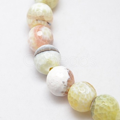 Natural Fire Agate Beads Strands G-L084-14mm-39-1