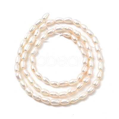 Natural Cultured Freshwater Pearl Beads Strands PEAR-I007-01L-01B-1