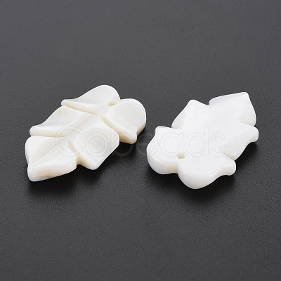 Natural Freshwater Shell Beads SHEL-S276-156-1